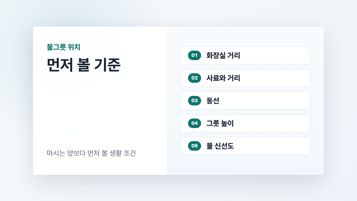 고양이 물그릇 위치를 볼 때 확인할 화장실 거리, 사료와 거리, 동선, 높이, 물 신선도 기준 카드